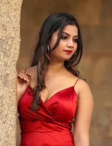 call girl service in Naila Janjgir